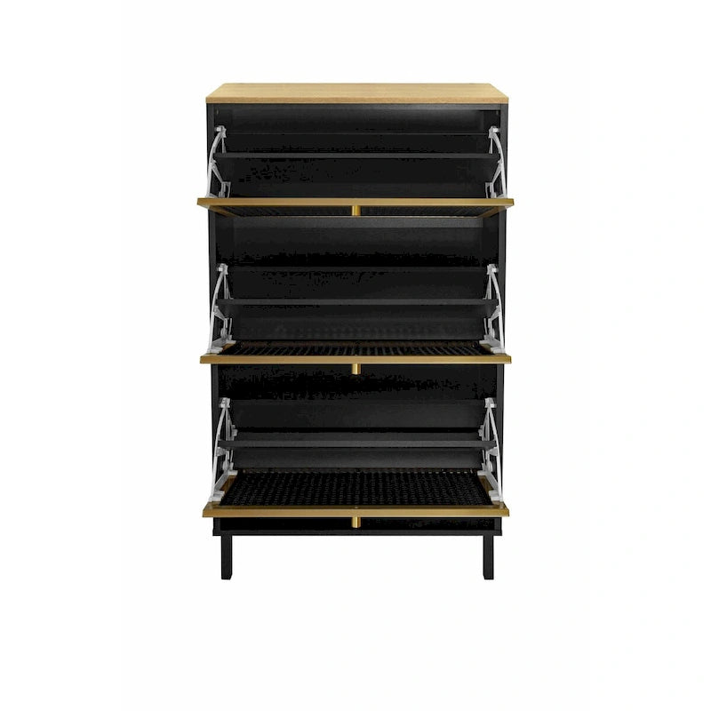 Freestanding Shoe Storage Cabinet with 3 Metal Doors