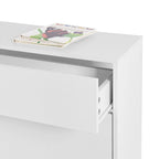 Freestanding Shoe Cabinet with 2 Flip Drawers and Metal Legs
